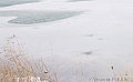 etoile de glace